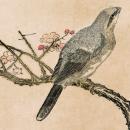 Utamaro, Myriade d'oiseaux, vers 1792. Bibliothèque de l'INHA, collections Jacques Doucet, 4 Est 459 (1)