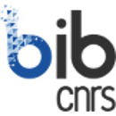 Logo BibCnrs