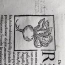 Visuel Rave - bibliothèque Ulm-LSH