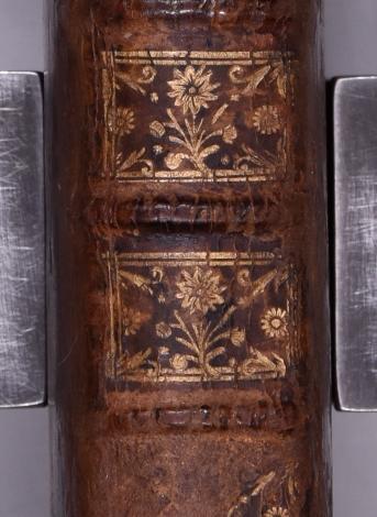 Dos après restauration