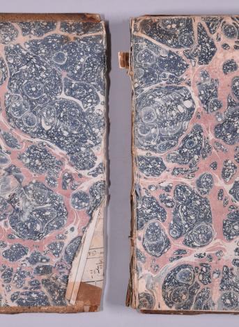 plat et contreplat supérieurs avant