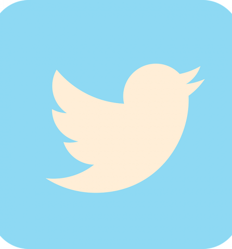 Logo Twitter oiseau