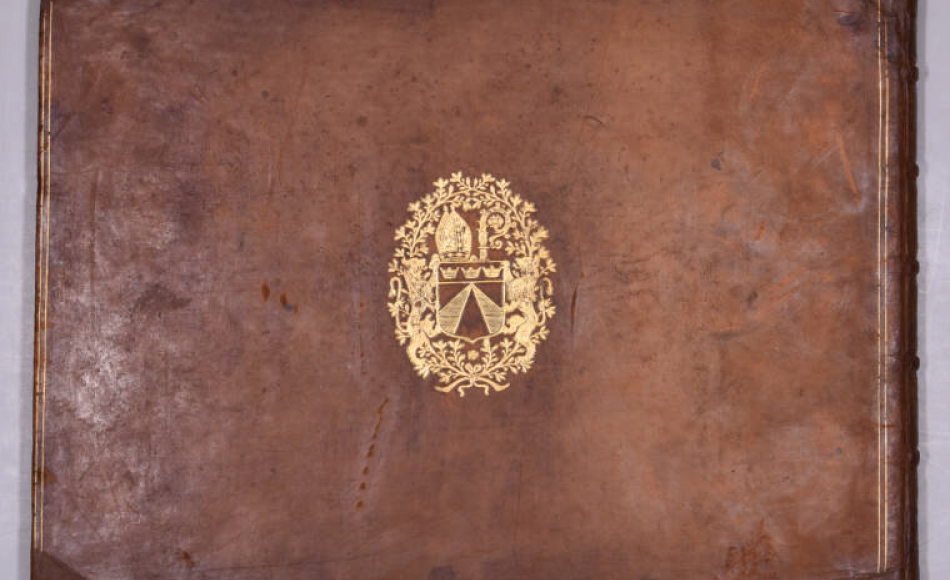 Tassin plat inférieur après